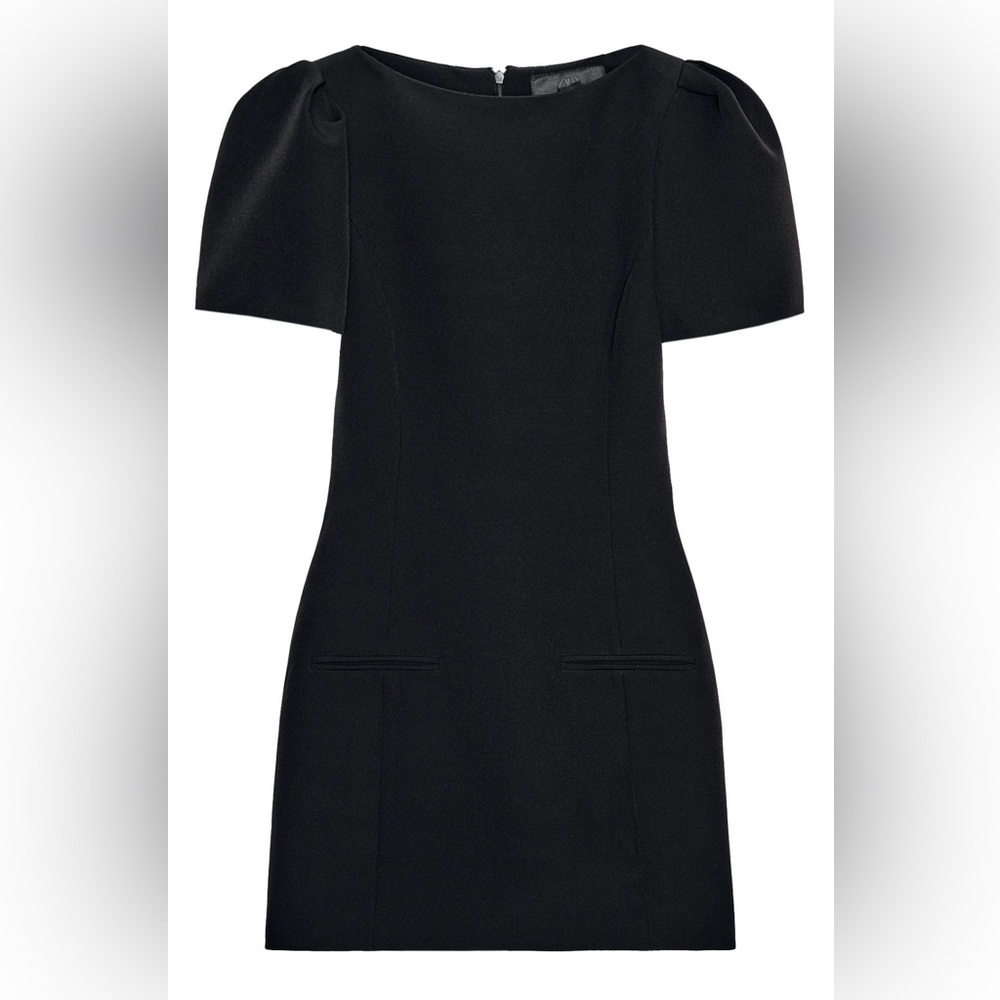 Zara Pleated Structured Dress